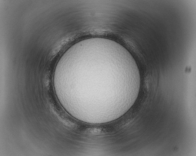 X0000115010687200911161601