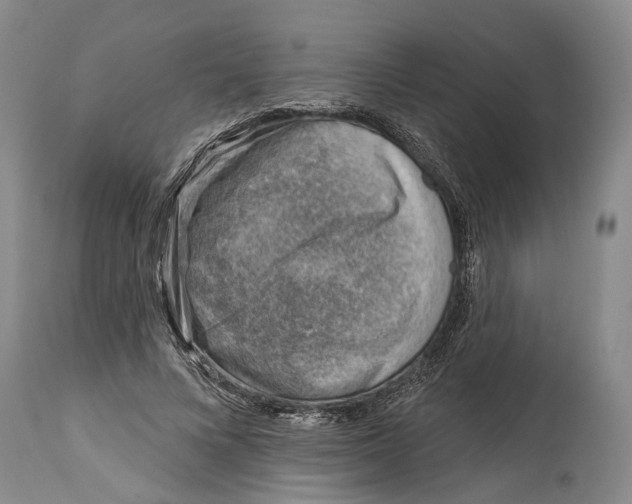 X0000115010688200911161601