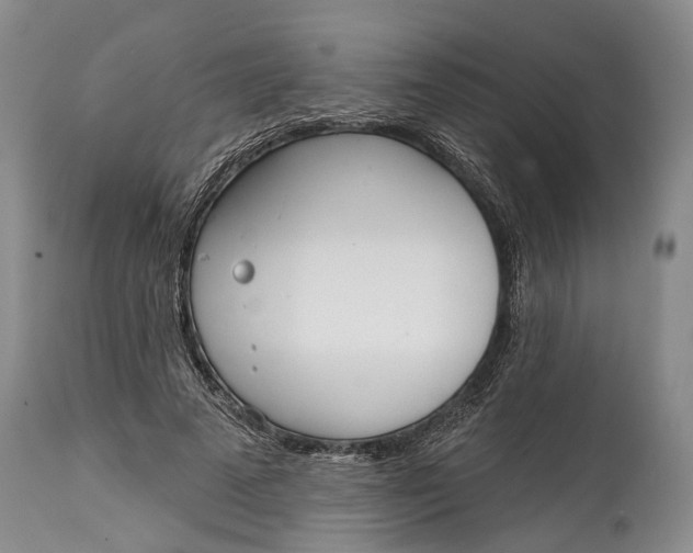 X0000115010689200911161601