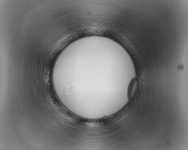 X0000115010693200911161600