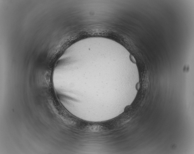 X0000115010695200911161600