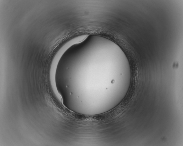 X0000115010696200911161600