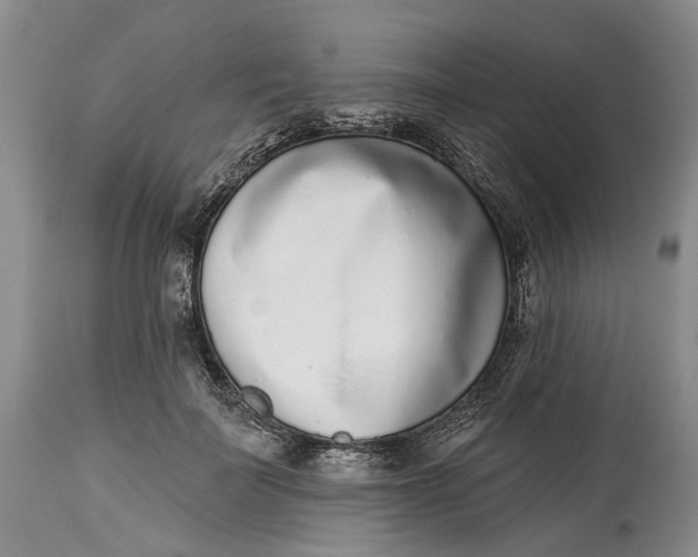 X0000115010699200911161600