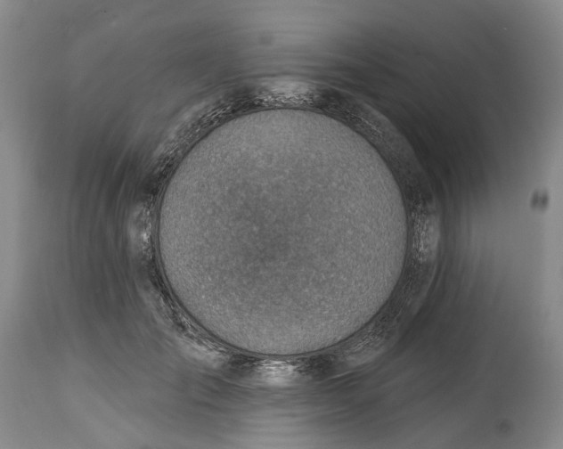 X0000115010701200911161600