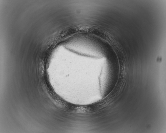 X0000115010703200911161600