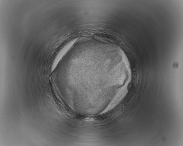 X0000115010704200911161600
