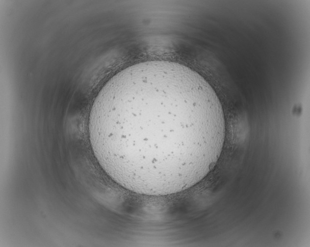 X0000115010705200911161600