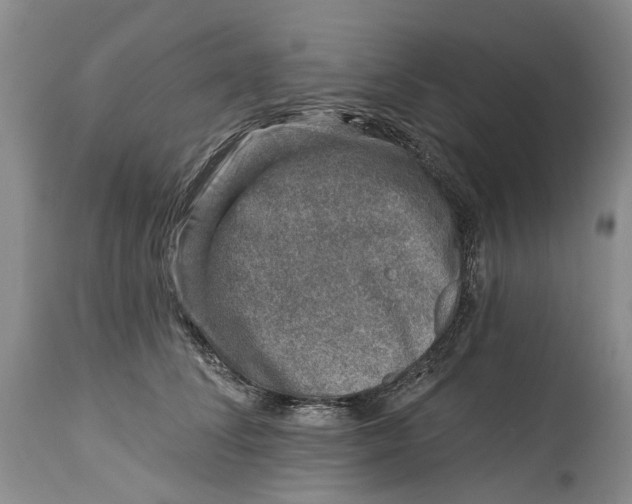 X0000115010708200911161600