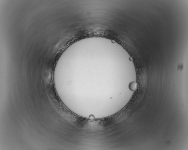X0000115010709200911161600