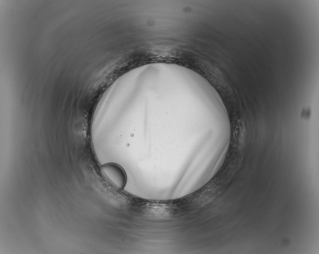 X0000115010710200911161600