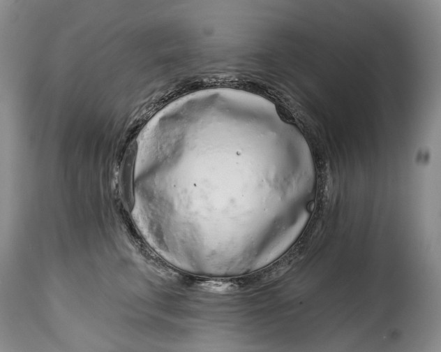 X0000115010711200911161600