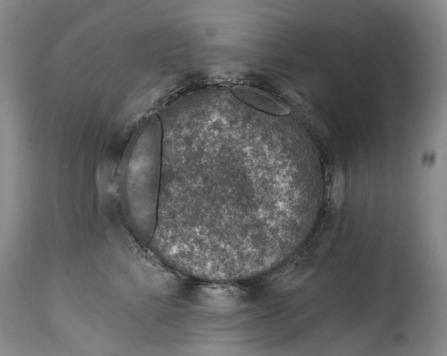 X0000115010712200911161600
