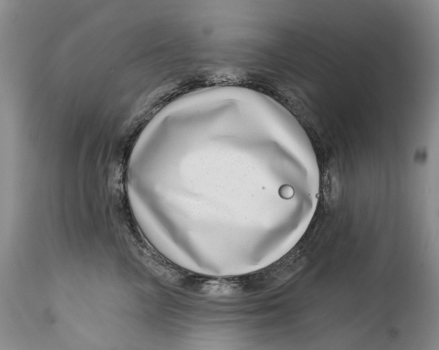 X0000115010714200911161600