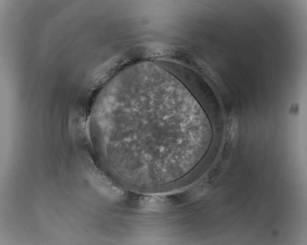 X0000115010716200911161600