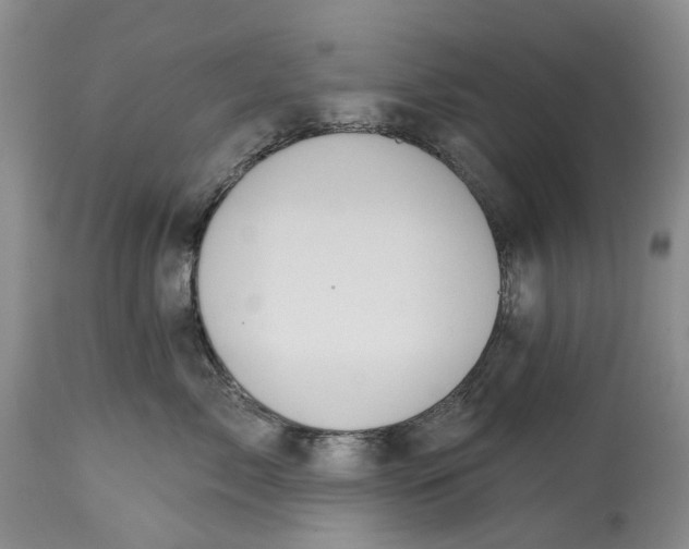 X0000115010717200911161600