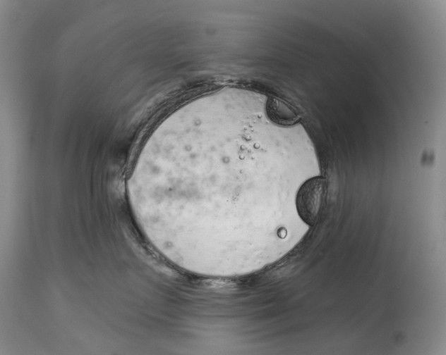X0000115010719200911161600