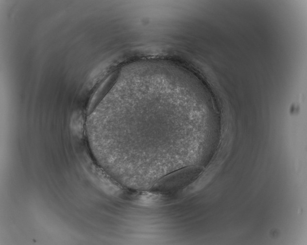 X0000115010720200911161600