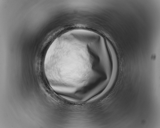 X0000115010722200911161559