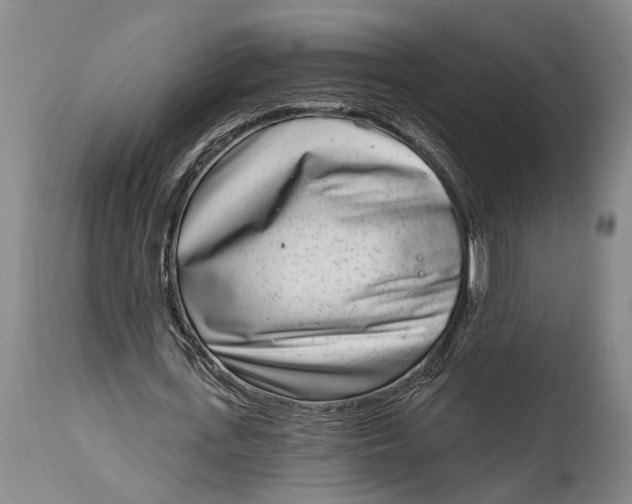 X0000115010723200911161559