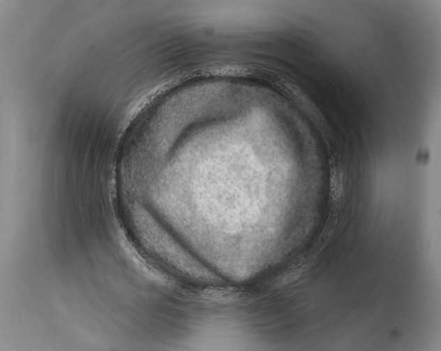 X0000115010725200911161559