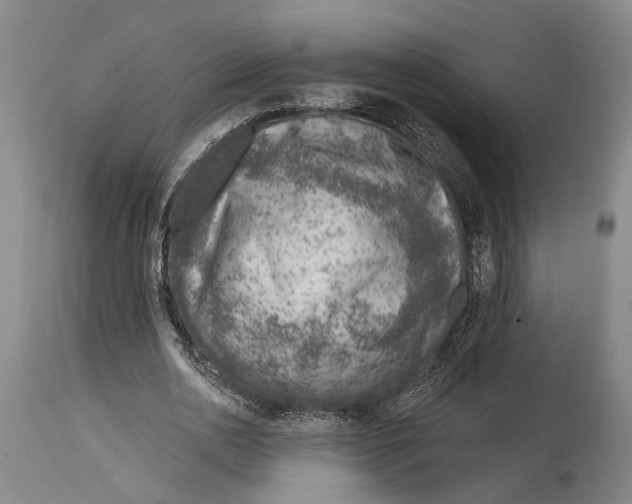 X0000115010726200911161559