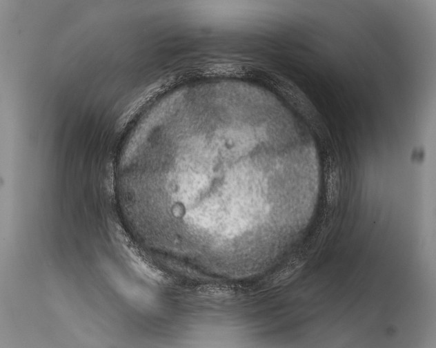 X0000115010729200911161559