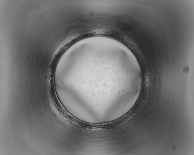 X0000115010730200911161600