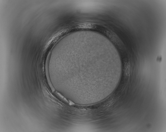 X0000115010731200911161600