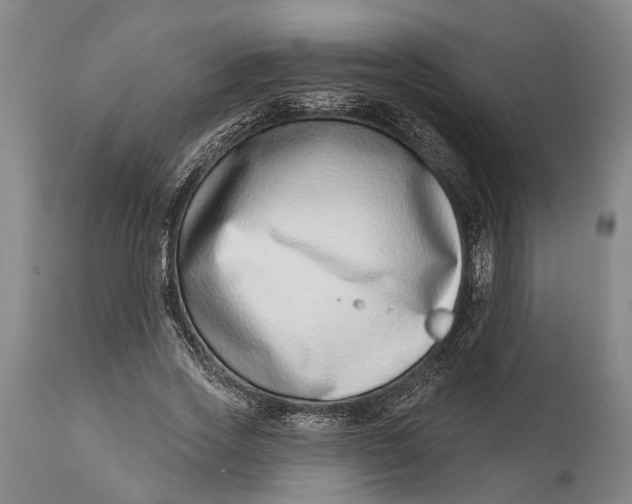 X0000115010733200911161600