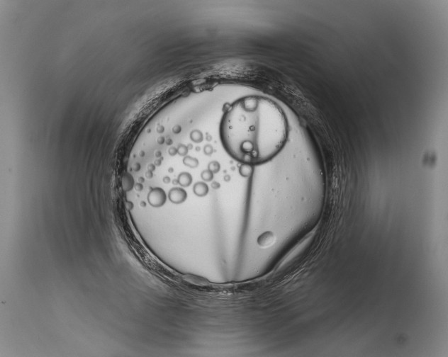 X0000115010734200911161600