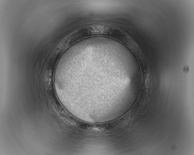 X0000115010737200911161600