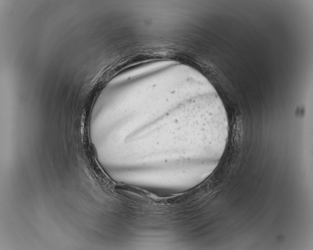 X0000115010739200911161600