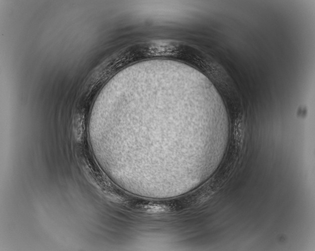 X0000115010741200911161600