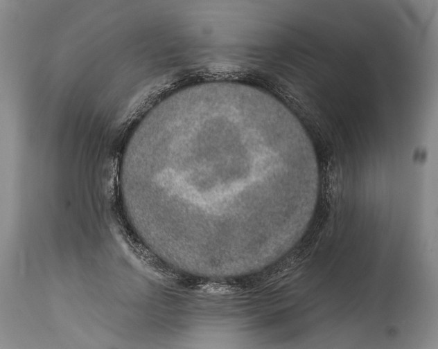 X0000115010742200911161600