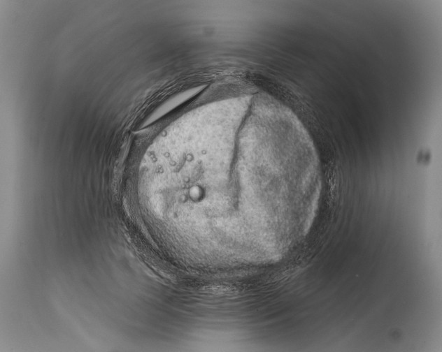 X0000115010745200911161600