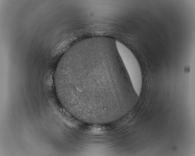 X0000115010746200911161600