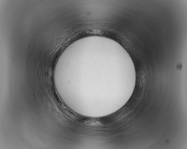 X0000115010747200911161600