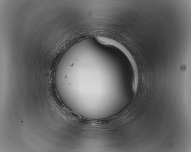 X0000115010750200911161600