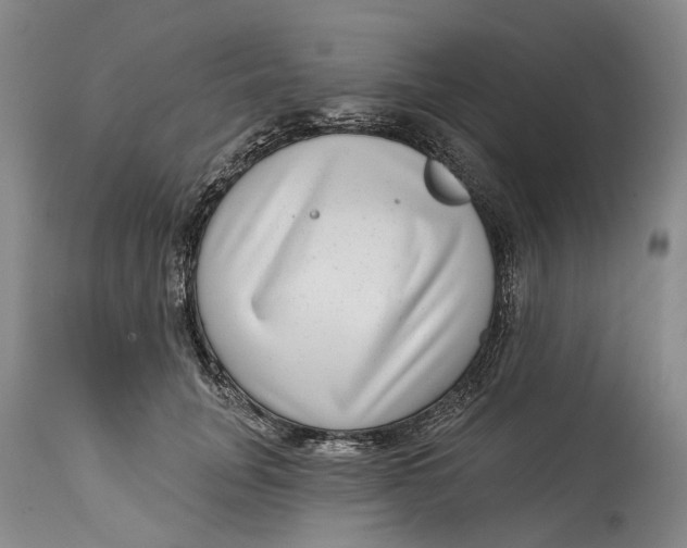 X0000115010751200911161600