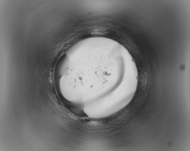 X0000115010755200911161600