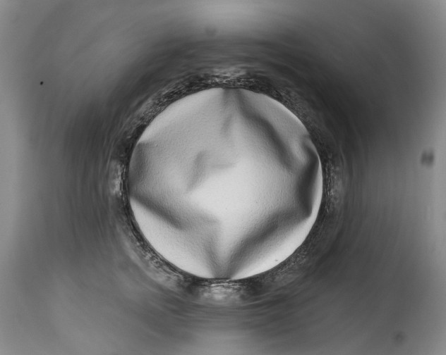 X0000115010758200911161600