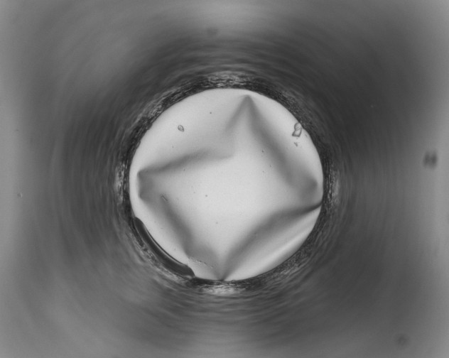 X0000115010759200911161600