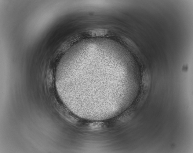 X0000115010761200911161600