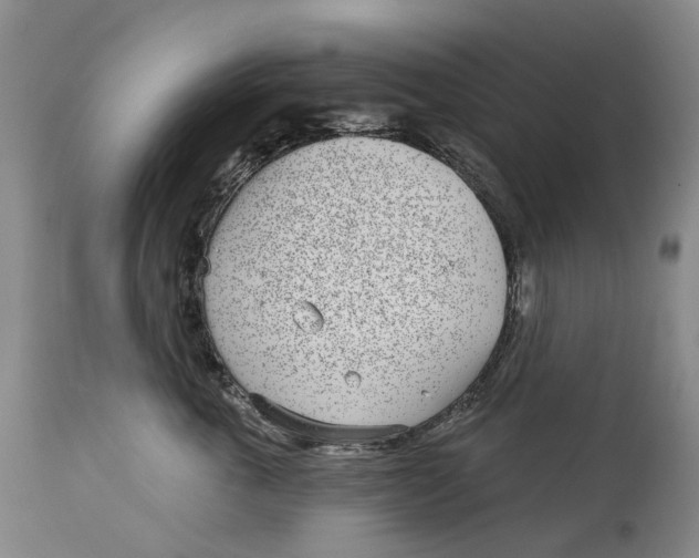 X0000115010763200911161600