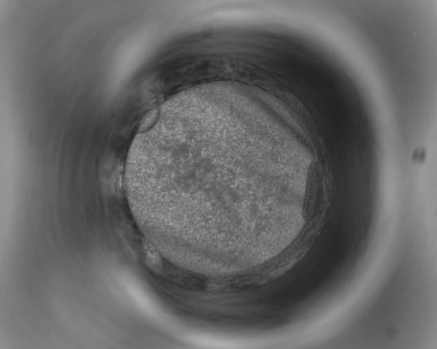 X0000115010766200911161600