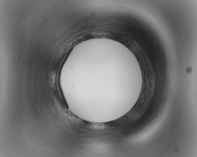 X0000115010767200911161600