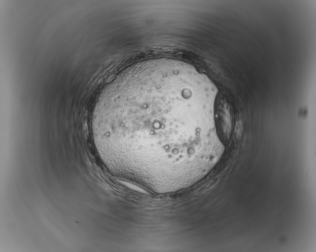X0000115010771200911161559