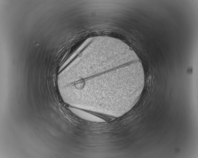 X0000115010772200911161559