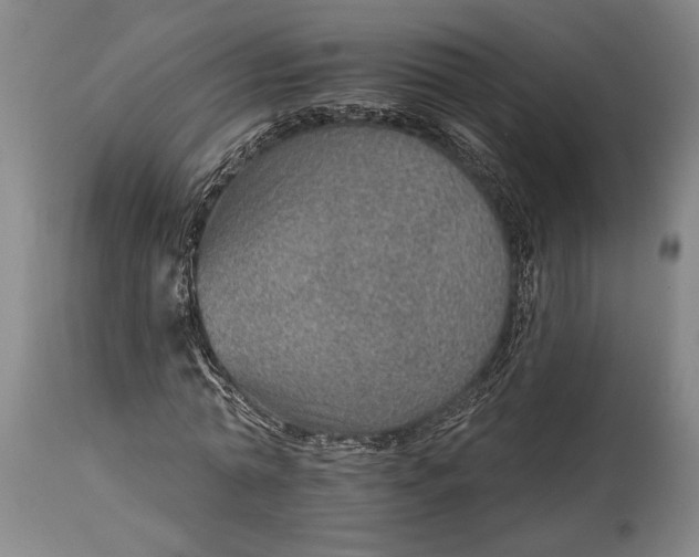 X0000115010774200911161559