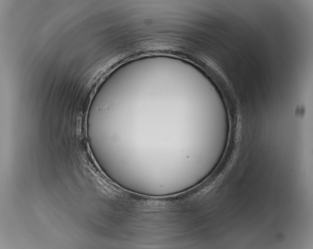X0000115010777200911161559